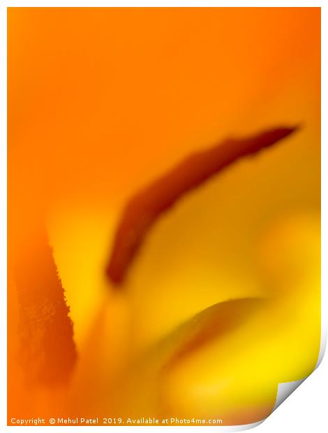 Abstract image inside a tulip  Print by Mehul Patel