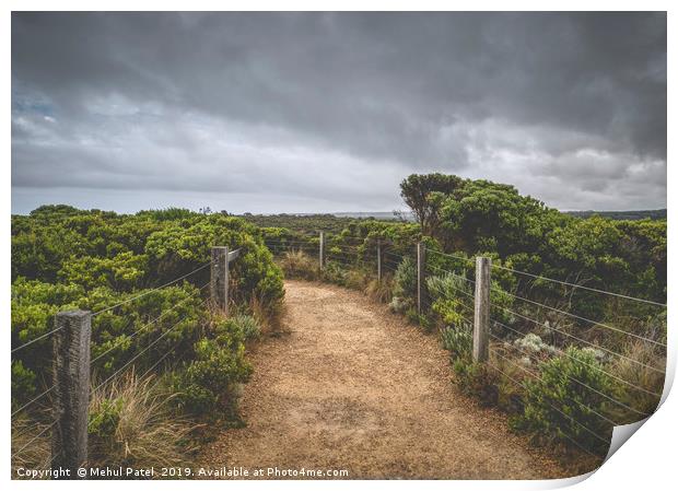 Pathway in national park under cloudy sky Print by Mehul Patel