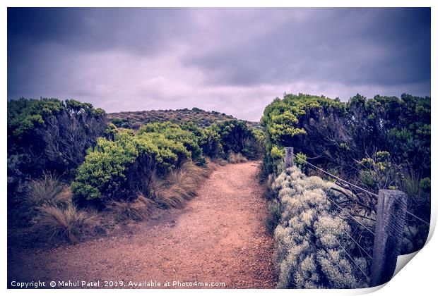 Trail in Port Campbell National Park, Australia Print by Mehul Patel