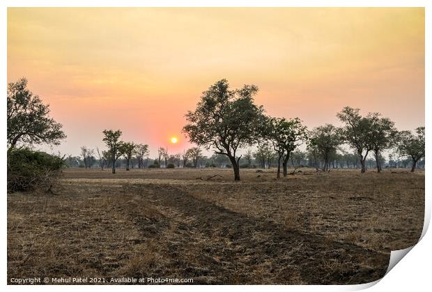 Sunsetting upon African plain with dirt track Print by Mehul Patel