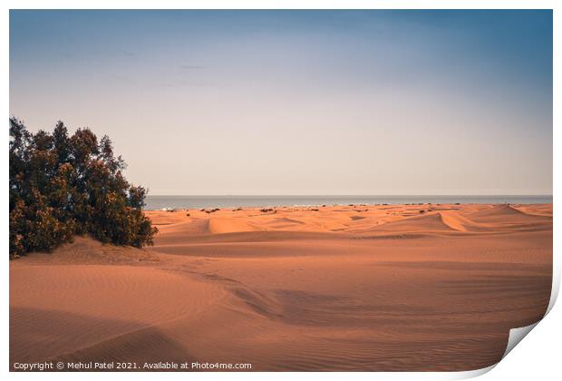 Dunas de Maspalomas (Sand dunes of Maspalomas), Gran Canaria Print by Mehul Patel