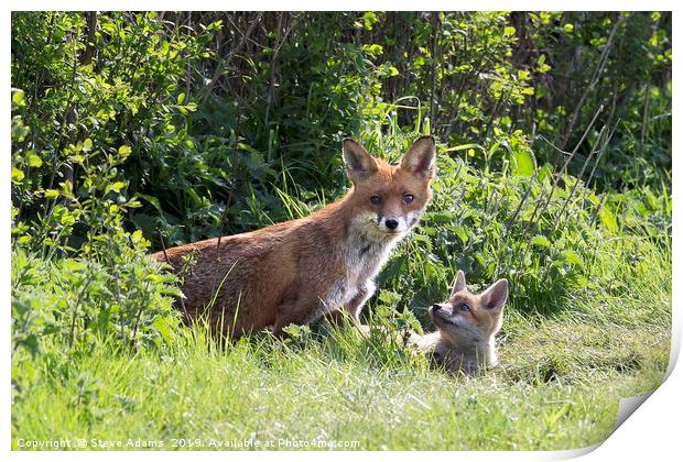 Hello Mum Print by Steve Adams