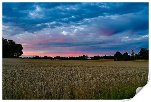 Dramatic sunset over fields near Kumla Sweden Print by Jonas Rönnbro