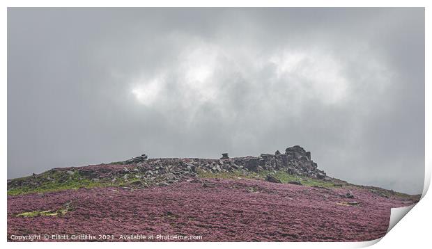 Sea of Heather Print by Elliott Griffiths