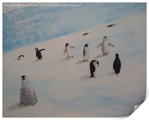 Penguins Print by Steve Boston