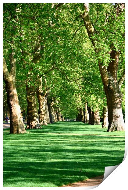 Hyde Park in London, UK, Print by M. J. Photography