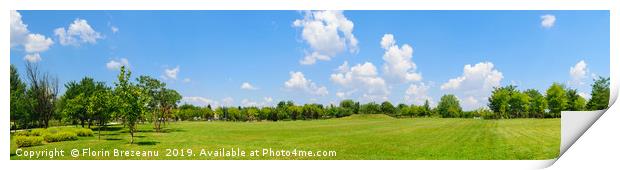 panorama of green lawn field and trees. Print by Florin Brezeanu