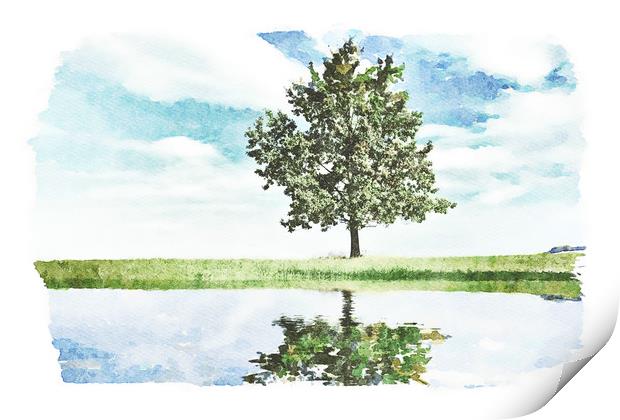 Lonely tree by the pond Print by Wdnet Studio