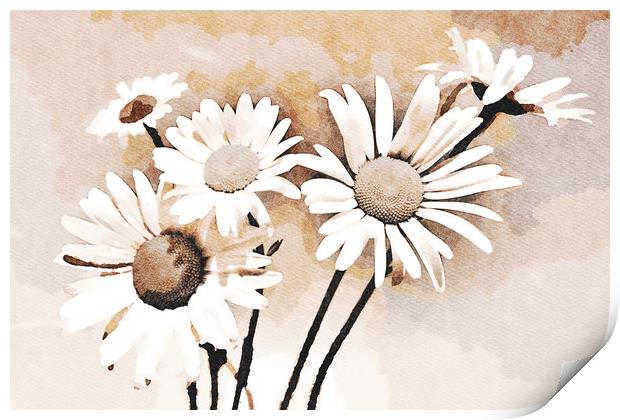 Blooming bouquet of daisies Print by Wdnet Studio