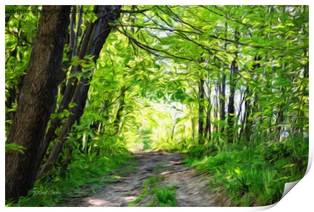 Impressionist forest and path in the sun Print by Wdnet Studio