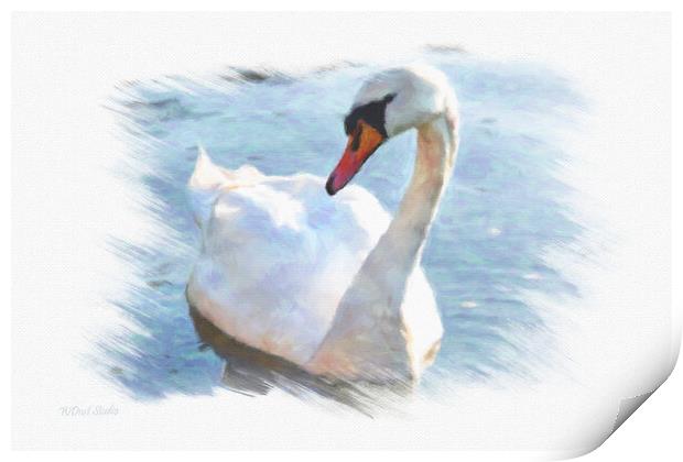 Lonely swan on lake water Print by Wdnet Studio
