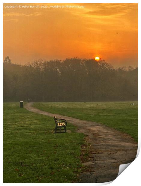 The Lonely Path at Sunrise Print by Peter Barrett