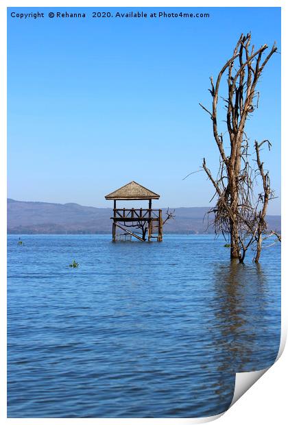 Lake Naivasha, flooded   Print by Rehanna Neky