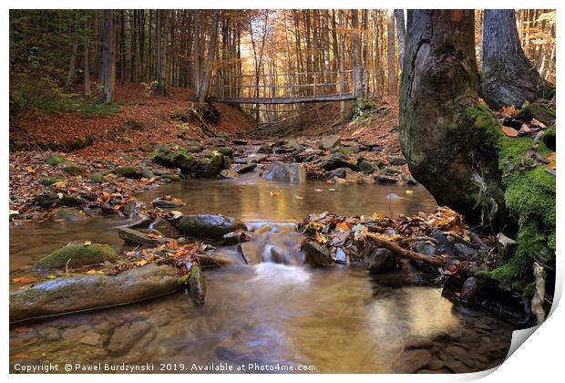 Autumn stream Print by Pawel Burdzynski