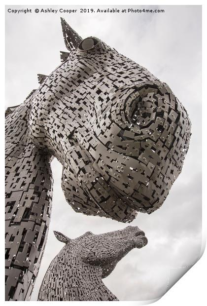 The Kelpies. Print by Ashley Cooper