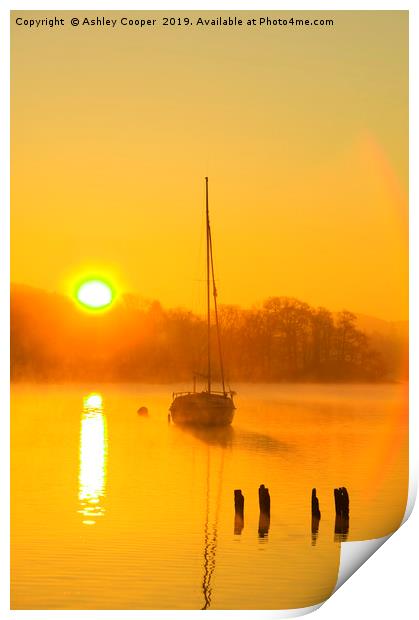 Windermere sunrise. Print by Ashley Cooper
