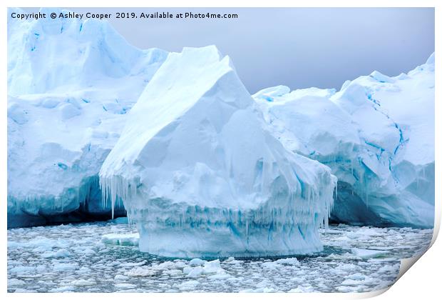 Icicles Print by Ashley Cooper