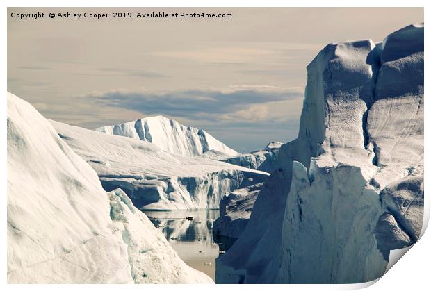 Illulisat icebergs. Print by Ashley Cooper