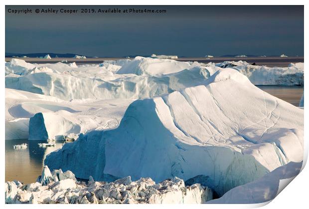 Greenland Icebergs Print by Ashley Cooper