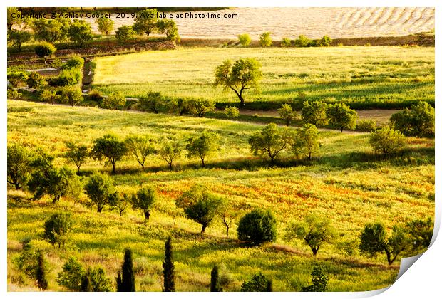 Spanish countryside. Print by Ashley Cooper