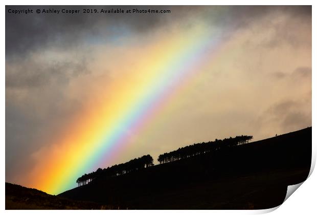 Woodland rainbow. Print by Ashley Cooper