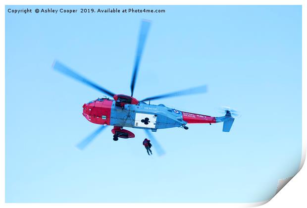 Royal Navy Sea King helicopter. Print by Ashley Cooper