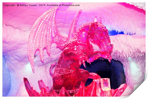 Ice dragon. Print by Ashley Cooper