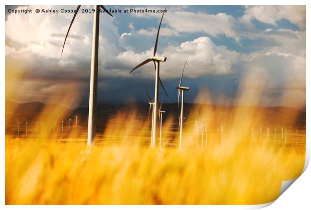 Andalucia turbine. Print by Ashley Cooper