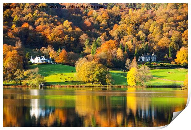 Grasmere reflections. Print by Ashley Cooper