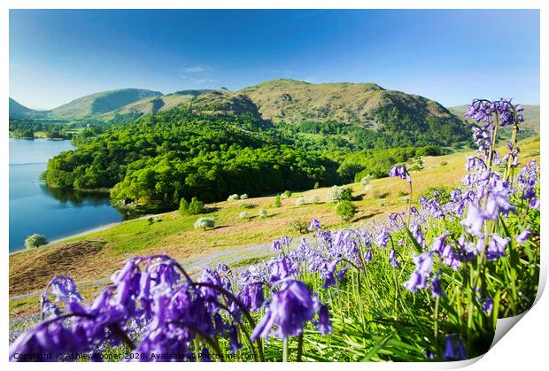 Grasmere Spring. Print by Ashley Cooper