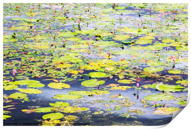 Monet movement Print by Ashley Cooper