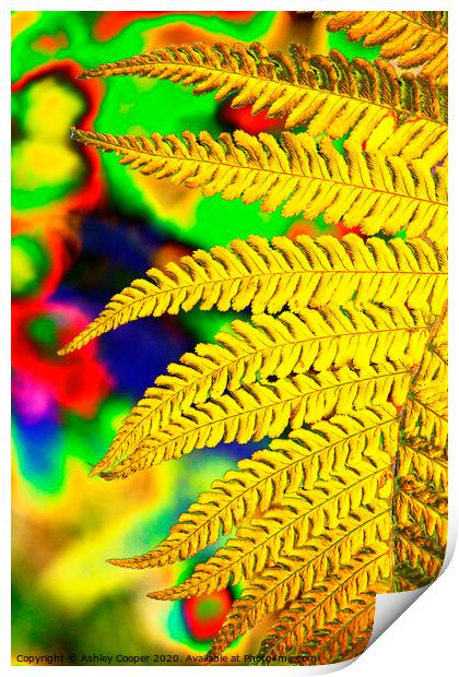 Abstract fern Print by Ashley Cooper