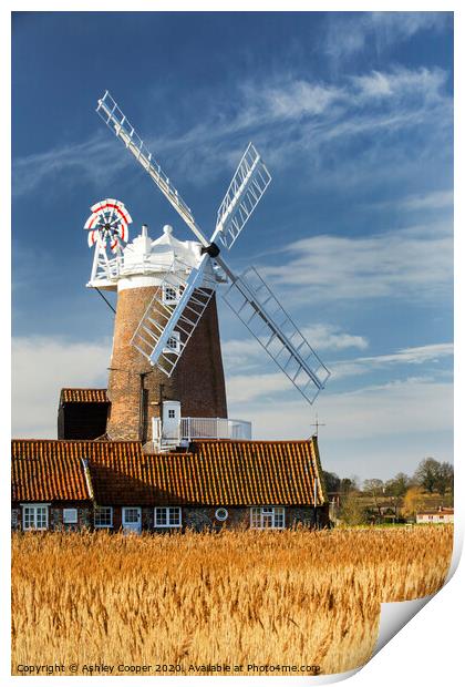Cley mill autumn Print by Ashley Cooper