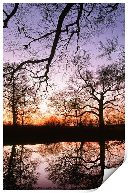 pond reflections Print by Ashley Cooper
