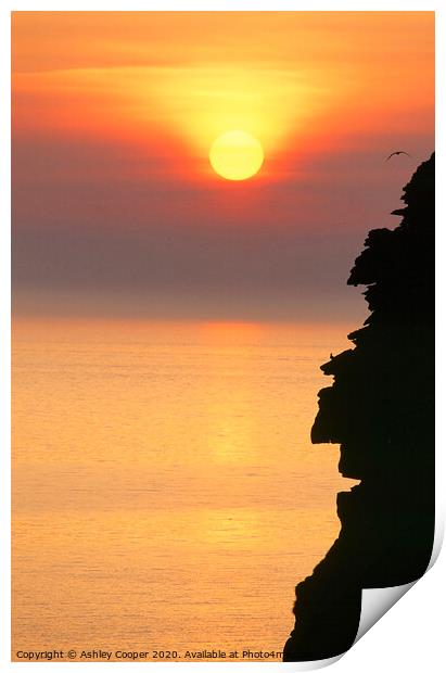 Sea cliffs Print by Ashley Cooper