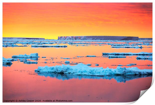 Antarctic sunset tabular. Print by Ashley Cooper