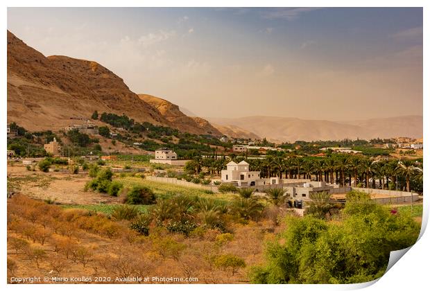 View of the valley of the river Jordan in the vicinity of the ancient city of Jericho. Palestinian West Bank Print by Mario Koufios