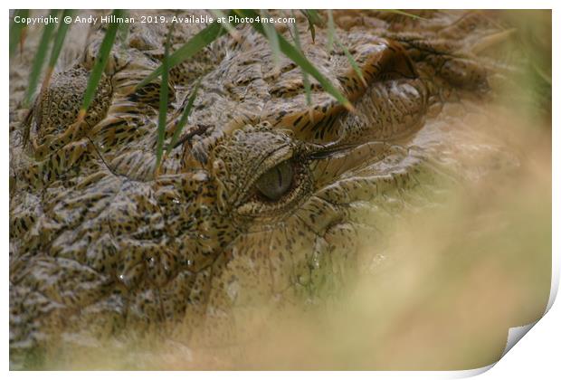 Eye of the crocodile Print by Andy Hillman