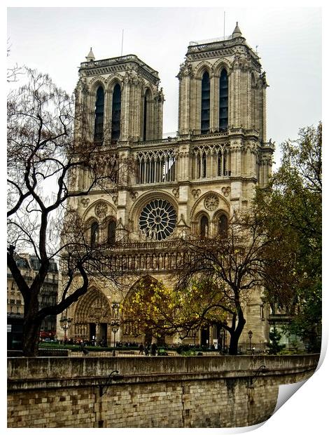 Notre Dame Cathedral Print by Martin Smith
