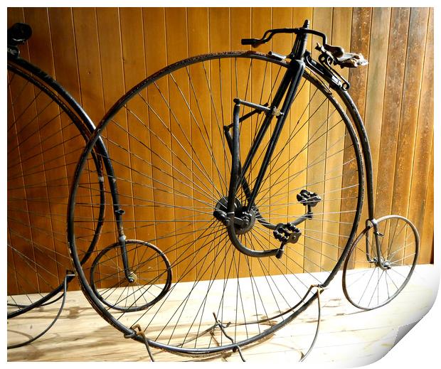Penny farthing Print by Martin Smith