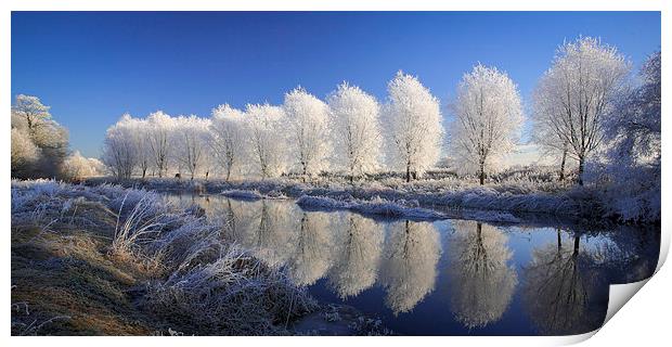  Mirror Trees Print by Andy Bennette