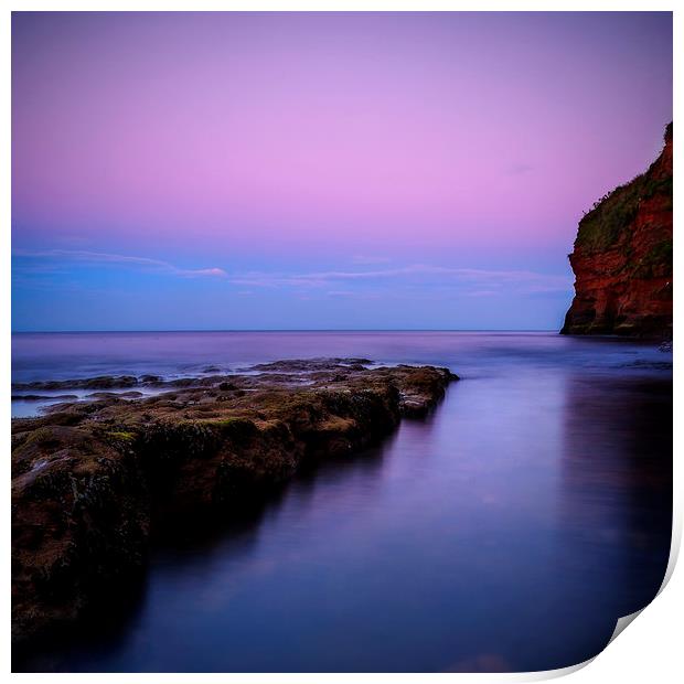  Ladram Magenta Print by Andy Bennette