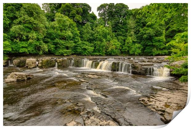 Aysgarth falls on the River Ure in Yorkshire  Print by Kevin Smith