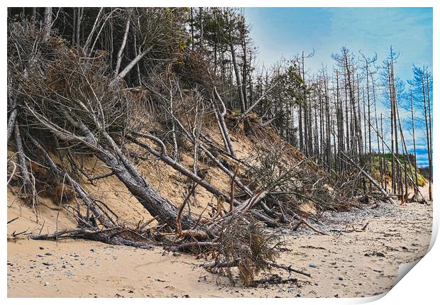 Newborough beach coastal erosion Print by Kevin Smith