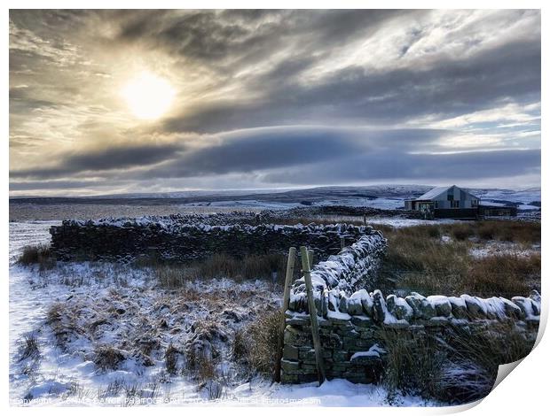 The hills above Stanhope in Weardale Print by EMMA DANCE PHOTOGRAPHY