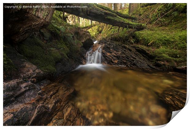 Water Under Log Print by Ronnie Reffin