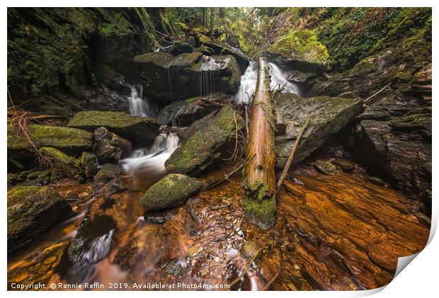 The Log In The Waterfall Print by Ronnie Reffin