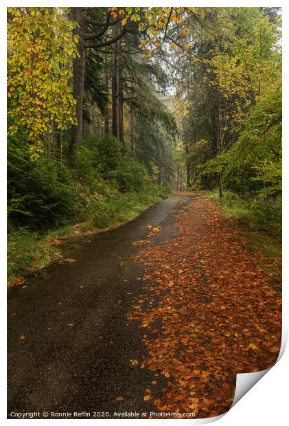 An Autumn Walk In The Rain Print by Ronnie Reffin