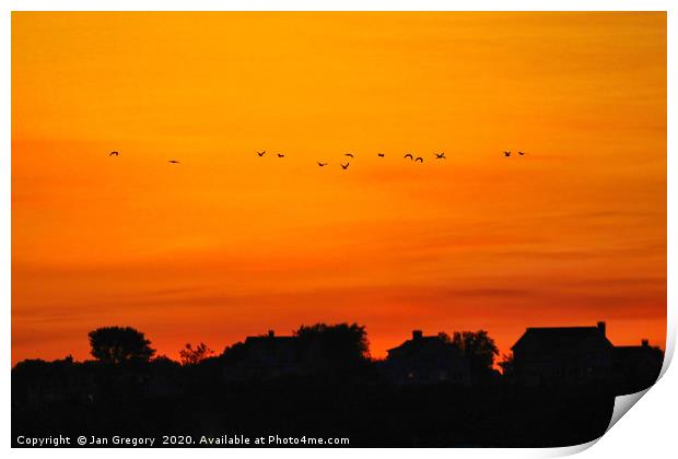 Sunset at Cape Cod Print by Jan Gregory