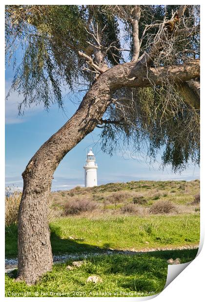 Paphos Lighthouse Print by Jan Gregory